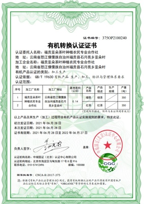 福貢茶產(chǎn)業(yè)“三品一標(biāo)”工作取得新突破 茶葉品質(zhì)提升助農(nóng)增收