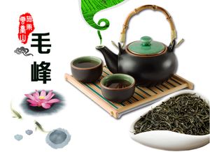 云上施秉·黔東南的綠色瑰寶 罐裝施秉綠茶的品嘗與文化韻味